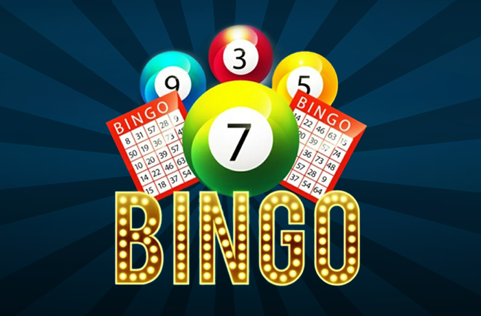Read more about the article Adult Bingo Night!