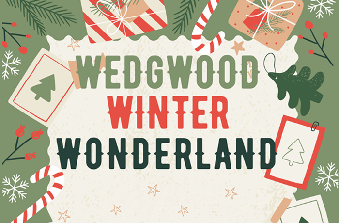 Read more about the article Winter Wonderland Party!