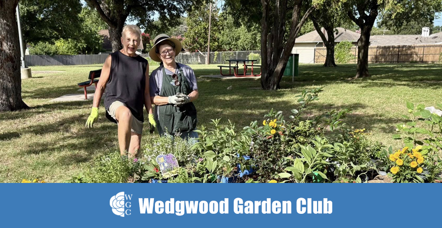 Little People Park Adoption 11