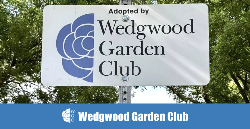 Little People Park Adoption 4