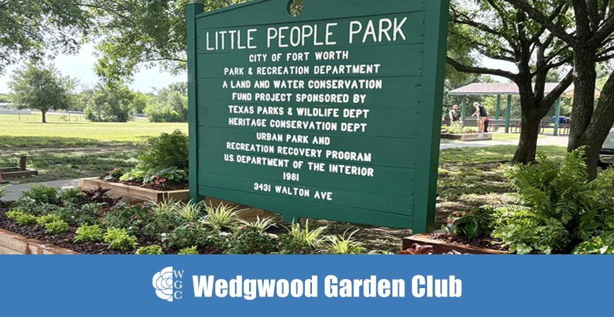 Little People Park Adoption 5