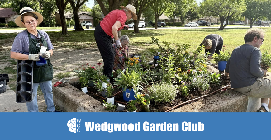 Little People Park Adoption 6