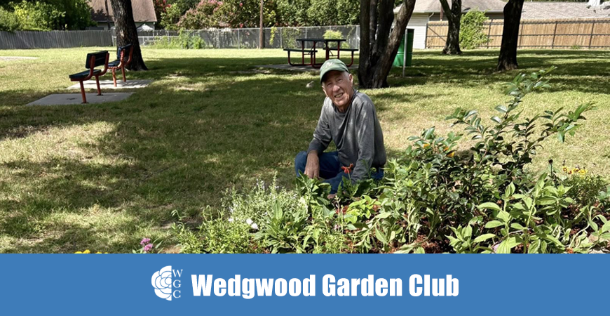 Little People Park Adoption 7