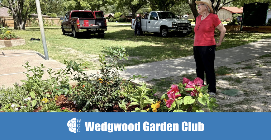 Little People Park Adoption 8