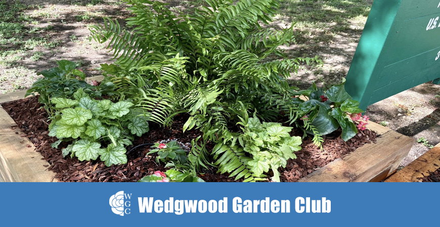 Little People Park Adoption 9