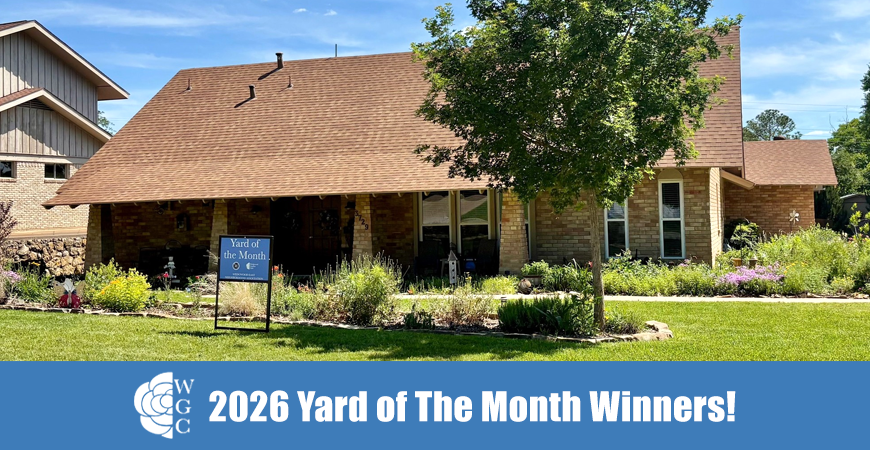 2026 Yard of the Month winning home recognized by the Wedgwood Garden Club in Fort Worth, Texas